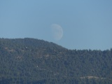 Rising Gibbous Moon