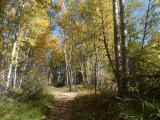 Autumn Path