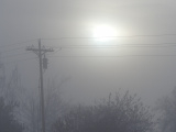 Wires in the January Mist
