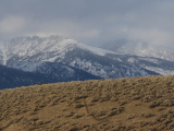 Distant Snowy Peaks