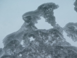 Pattern of Snow and Sky