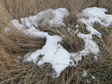 Patches of Snow