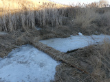 Bridge over a Frozen Stream