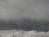 Trees and Clouds