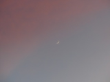 Crescent in a Sky of Pink and Blue