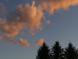 Sunset Clouds and Evergreens