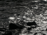 Sunlight on the Water