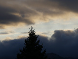 Evergreen Peak Silhouette