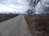 Rural Road in December