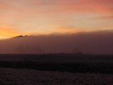 Dawn Winter Fog