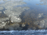 Ice in the River