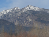 Mountains beyond Winter Trees