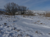 Snow Covered Stream