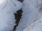 Flowing Stream beneath the Snow