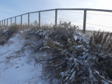 Fence in the Sky