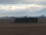 Stacked Hay Cylinders