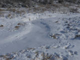 Stream Path in Winter