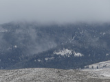 Mountains Under the Mist