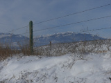 Fence in the Snow