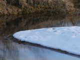 Peninsula of Snow