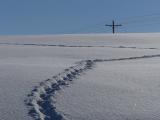 Path in Sunlit Snow