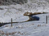 Bend in the Winter Stream