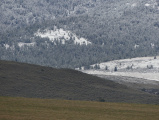 Layers of Pastures and Snow