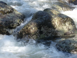 Flowing around a Boulder