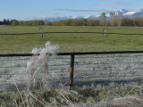 Irrigation Frost