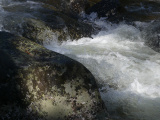 Sunbeam on Rock and Water