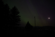 Aurora with the Moon and Trees