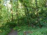 Pointalism of Green Leaves