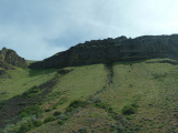 Verdant Slopes