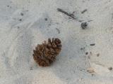 Cone on the Sand