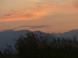 August Grasses at Sunset