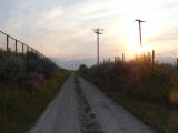 Lane at Dusk