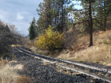 Sunlit Rail in Autumn