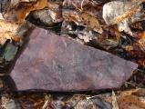 Red Rock and Autumn Leaves