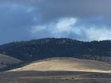 Light on a Distant Pasture