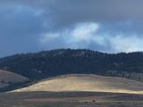 Light on a Distant Pasture