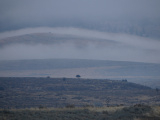 Layers of Fog in the Distance