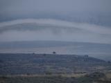 Layers of Fog in the Distance