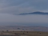 White Band of Fog