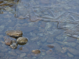 Rocks and Ice in the Water