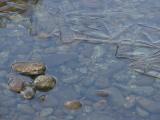 Rocks and Ice in the Water