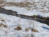 Thin Blanket of Snow, Streamside