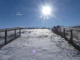 Midday Winter Sun on Pastures