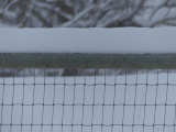 Snowing on the Fence