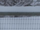 Snowing on the Fence