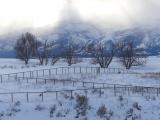 Snow on the Pastures